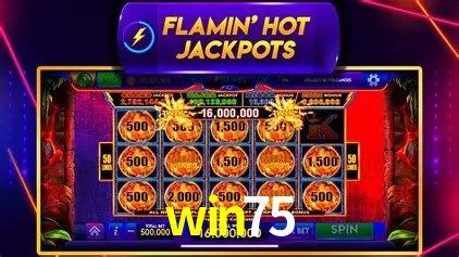 win75 bet